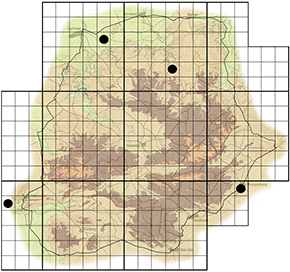 Leptotes brevidentatus Waterberg distribution